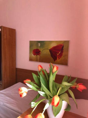  Hotel Haga  Ченстохова